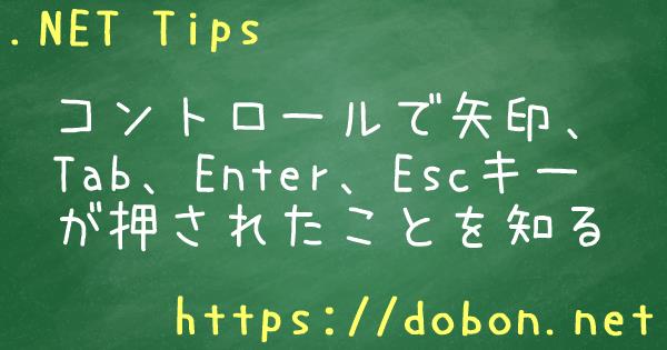 コントロールで矢印 Tab Enter Escキーが押されたことを知る Net Tips Vb Net C